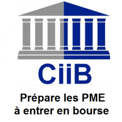 Autre Conseil En Ingénierie Et Introduction Boursière Des Pme-pmi - 1 - 