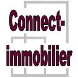 Agence immobilière Cambrimmo Connect-immobilier - 1 - 