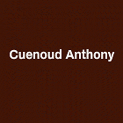 Entreprises tous travaux Cuenoud Anthony - 1 - 