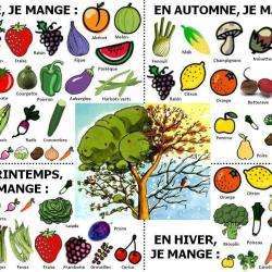 Alimentation bio Culture légumes  - 1 - 