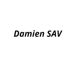 Damien Sav Saint Vincent De Connezac