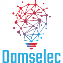 Electricien DAMSELEC - 1 - 