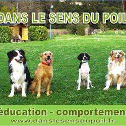 Dressage DANS LE SENS DU POIL - 1 - L'éducation Canine : C'est Que Du Bonheur !!! - 
