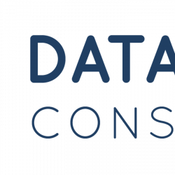 Datasoft Consulting Courbevoie