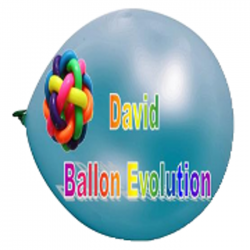 Décoration David Ballon Evolution - 1 - 