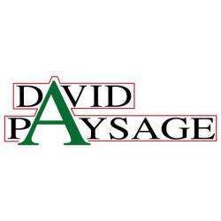 David Paysage Damgan