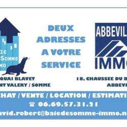 Agence immobilière David Robert - Baie De Somme Immo - 1 - 