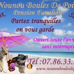 Nounou Boule De Poils Vouneuil Sur Vienne
