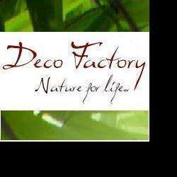 Fleuriste Deco Factory SARL - 1 - 