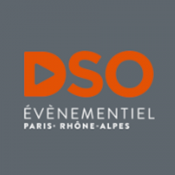Delta Services Organisation Dso Paris