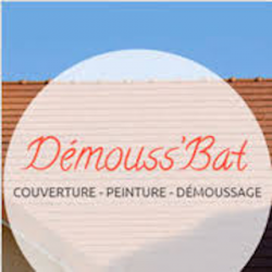 Toiture Demouss'bat - 1 - 