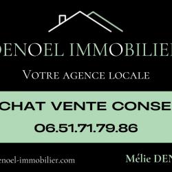 Agence immobilière Denoël Immobilier - 1 - 