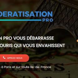 Dératisation Pro Paris