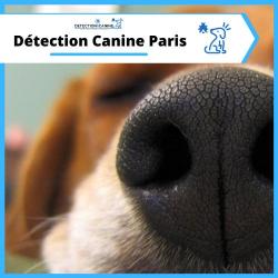Détection Canine Punaise Paris