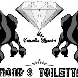 Salon de toilettage DIAMOND'S TOILETTAGE - 1 - 