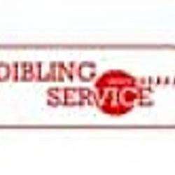 Dépannage Electroménager Dibling Service - 1 - 