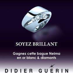 Bijoux et accessoires Didier Guerin SAS - 1 - 