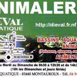Dieval Aquatique Montauroux