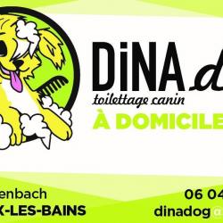 Dina Dog Aix Les Bains