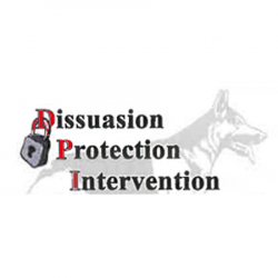Sécurité Dissuasion Protection Intervention - 1 - 