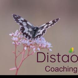 Coach de vie Distao - 1 - 