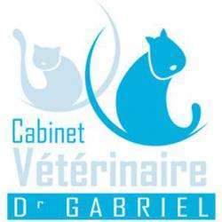 Vétérinaire Docteur Gabriel - 1 - 