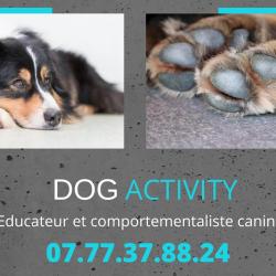 Dog Activity Pontarlier