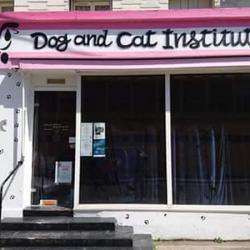Salon de toilettage Dog and cat institut - 1 - Crédit Photo : Page Facebook, Dog And Cat Institut - 