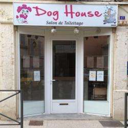 Animalerie Dog House - 1 - 