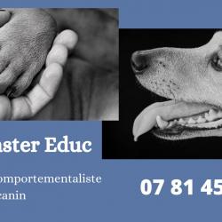 Dressage Dog Master Educ - 1 - 