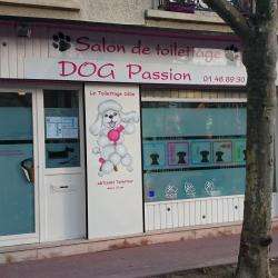 Salon de toilettage DOG PASSION Toilettage - 1 - Dog Passion Toilettage - 