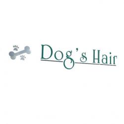 Centres commerciaux et grands magasins Dog's Hair - 1 - 