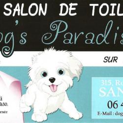Salon de toilettage DOG'S PARADISE - 1 - Dog's Paradise - 