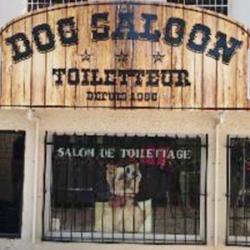 Dog Saloon Nîmes