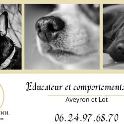 Dressage Dog wolf school - 1 - Dog Wolf School – Educateur Et Comportementaliste Canin Dans L’aveyron Et Le Lot - 