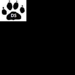 Garde d'animaux et Refuge DoggyServices - 1 - 
