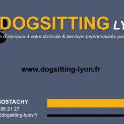 Dogsitting Lyon Caluire Et Cuire