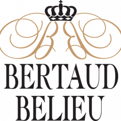Bar Domaine Bertaud Belieu - 1 - 