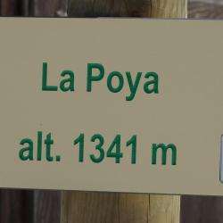 Activité pour enfant Domaine de La Poya - 1 - 