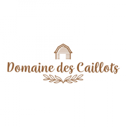 Hôtel et autre hébergement Domaine Des Caillots - 1 - 