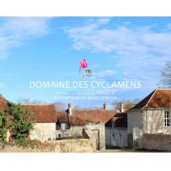 Domaine Des Cyclamens 4* Verneuil Sur Indre