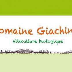 Producteur DOMAINE GIACHINO - 1 - 