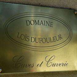 Caviste Domaine Loïs Dufouleur - 1 - 