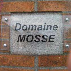 Caviste DOMAINE MOSSE - Agnès et René Mosse - 1 - 