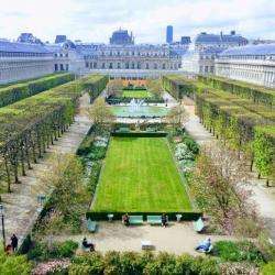 Domaine National Du Palais-royal