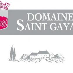 Centres commerciaux et grands magasins Domaine Saint Gayan - 1 - 