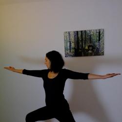 Yoga Dominique Vassallucci - 1 - 