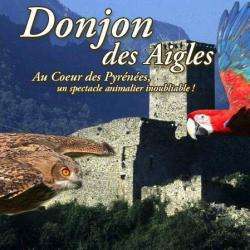 Donjon Des Aigles Beaucens