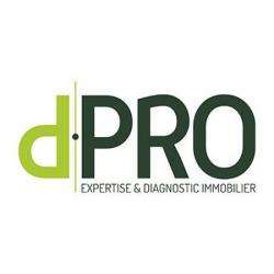 D.pro - Diagnostic Immobilier Et Expertise Fondettes