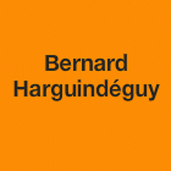 Pharmacie et Parapharmacie Droguerie Harguindéguy - 1 - 